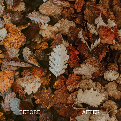 Fall Luts