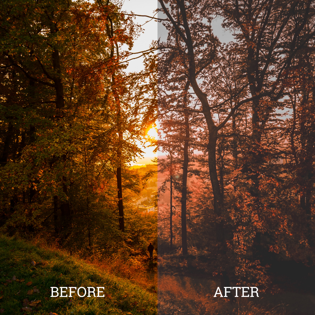 Dark Orange Luts