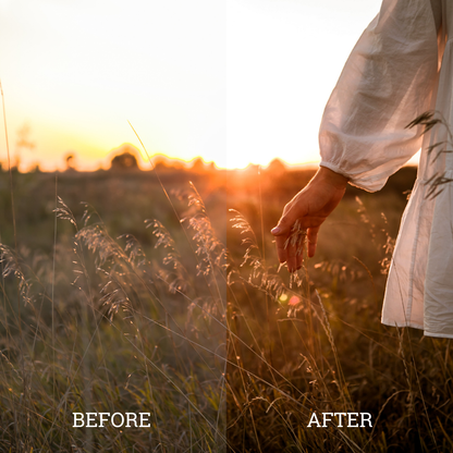 Earthy Tones Luts