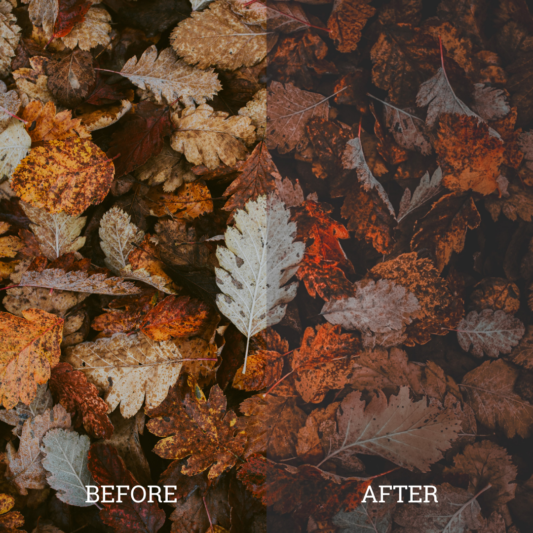 Dark Orange Luts