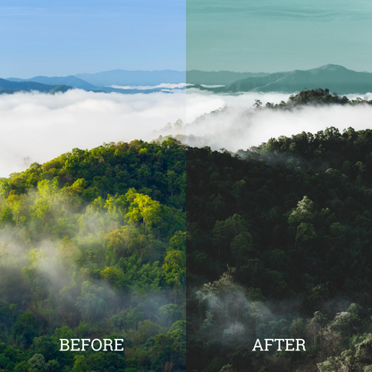 Dark Teal Luts