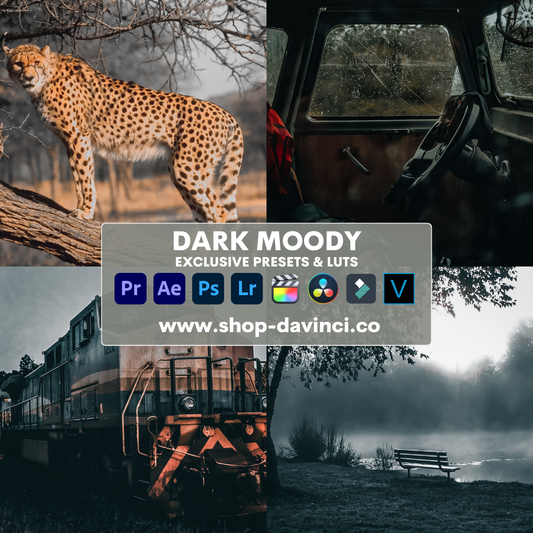 Dark Moody Luts